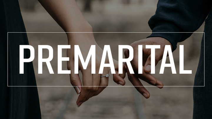 Pre Marital Foundations logo image