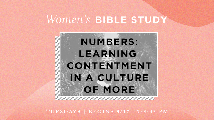 Women's Bible Study - Numbers: Learning Contentment in a Culture of More (Tuesday evenings) logo image