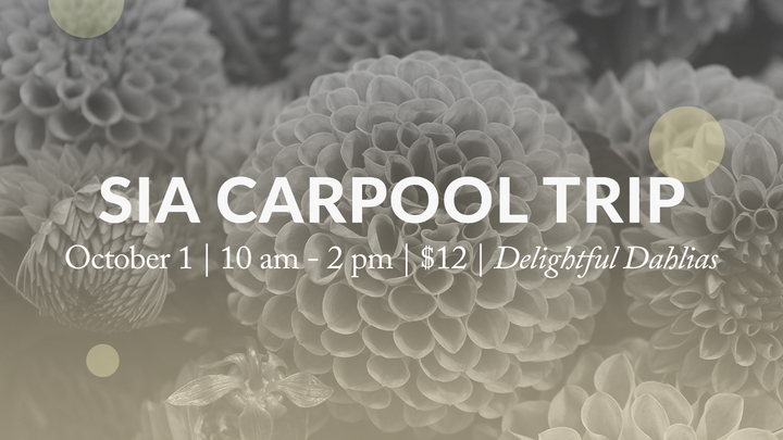 SIA Carpool Trip: Delightful Dahlias logo image