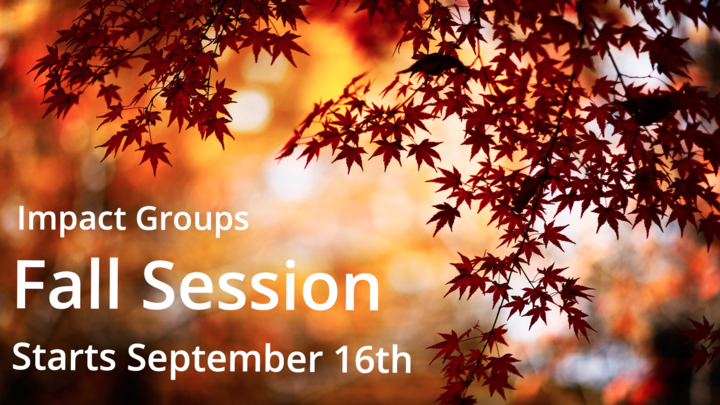 Impact Groups Fall Session 2019 logo image