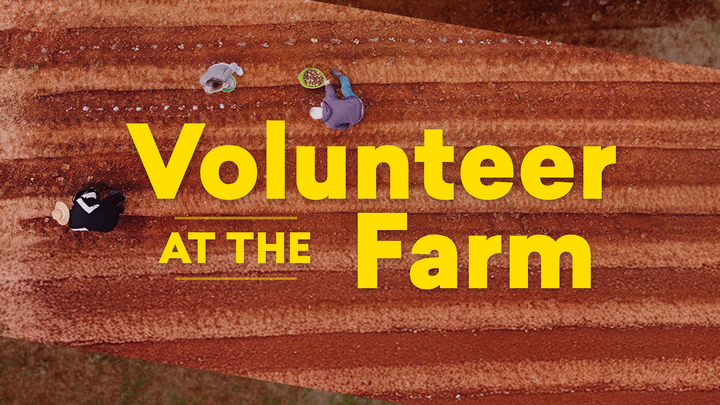 Redemption City Farm Volunteers logo