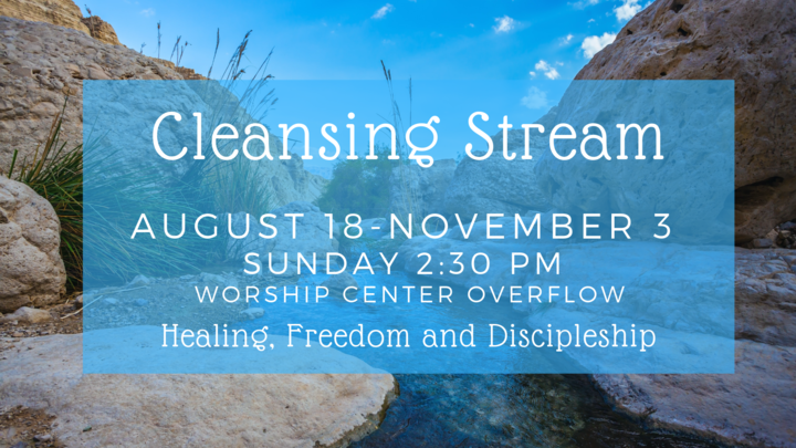 Cleansing Stream logo image