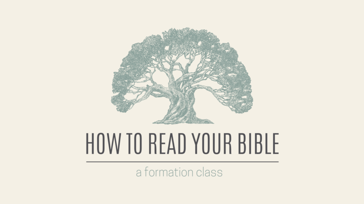 How to Read Your Bible — Old Testament logo image