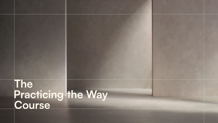 Practicing the Way Course ONE DAY logo