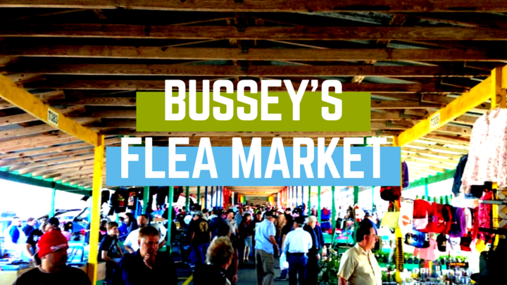 Bussey's Flea Market logo image