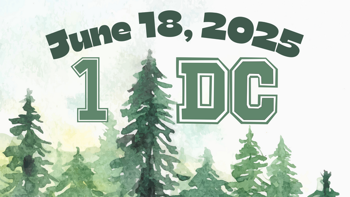1DC 2025 logo