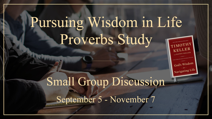 Pursuing Wisdom in Life - Proverbs Study logo image