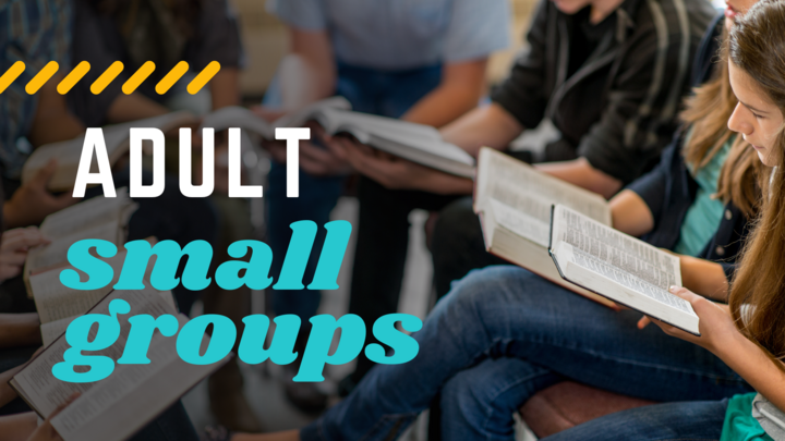Adult Small Groups logo