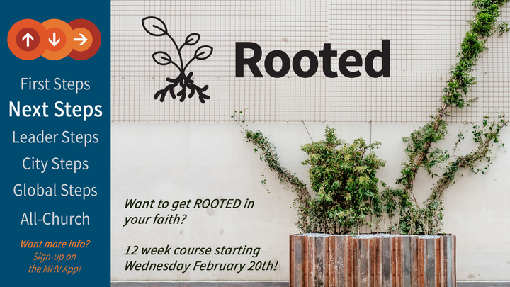 Arvada Vineyard- Rooted logo image