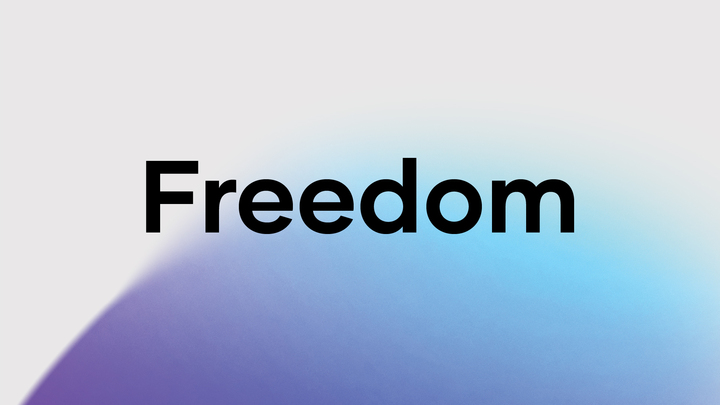 Spring 25 Freedom Encounter Team logo