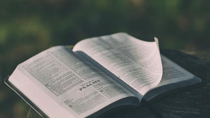 Understanding the Old Testament logo image