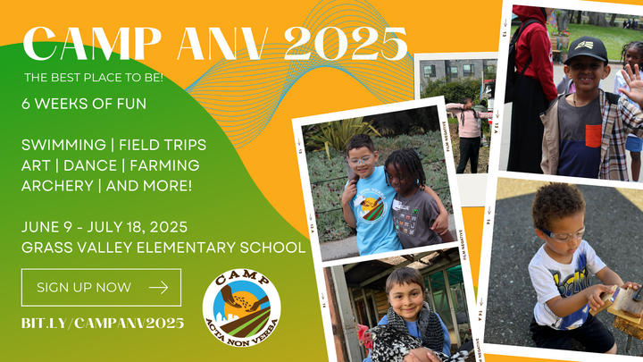 SUMMER Camp ANV 2025 logo