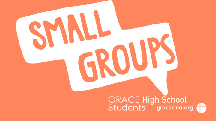 High School Small Groups logo image
