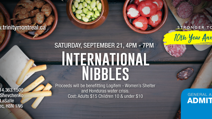 International Nibbles logo image