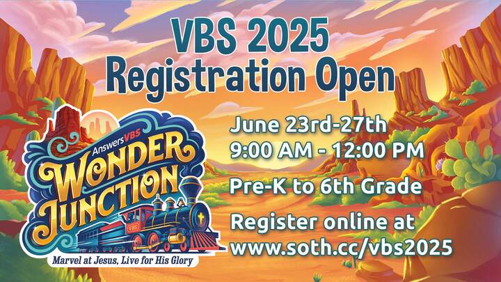 VBS 2025 logo