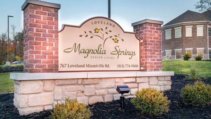 Magnolia Springs Volunteers logo image
