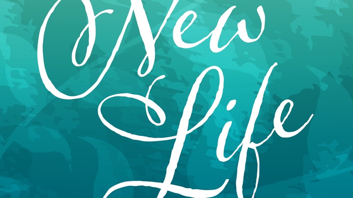 Adult | New Life Bible Study | 9574 logo