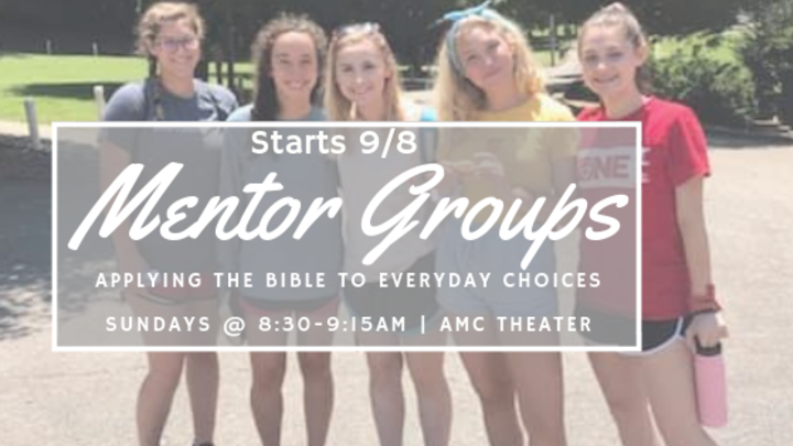 Youth Mentor Groups logo image