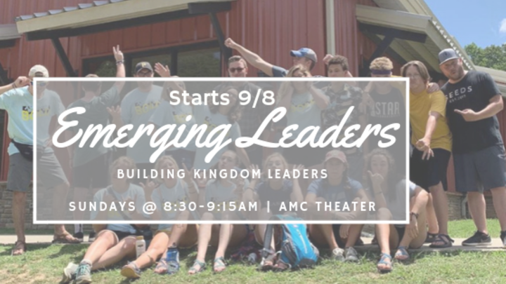 Youth Emerging Leaders Program: 9th-12th Grades logo image