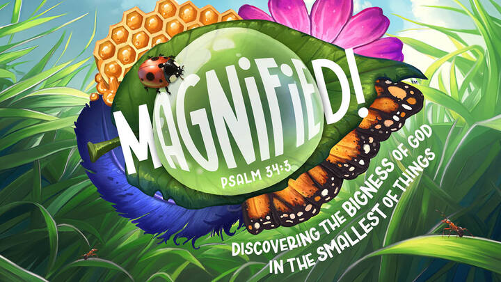 Magnified VBS 2025 logo