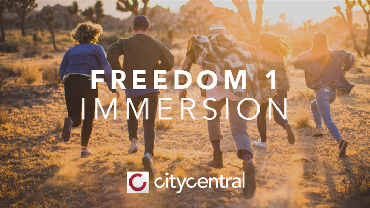 Freedom 1 logo image
