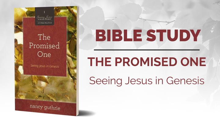 Trinity Women - The Promised One - Seeing Jesus in Genesis Bible Study at Princess Anne Campus logo image