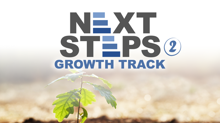 Next Steps: Growth Track logo
