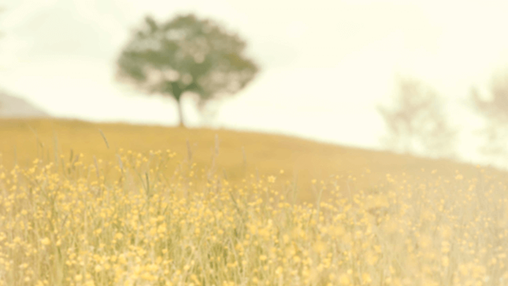 Life Group: "Grace Walk" by Steve McVey logo image
