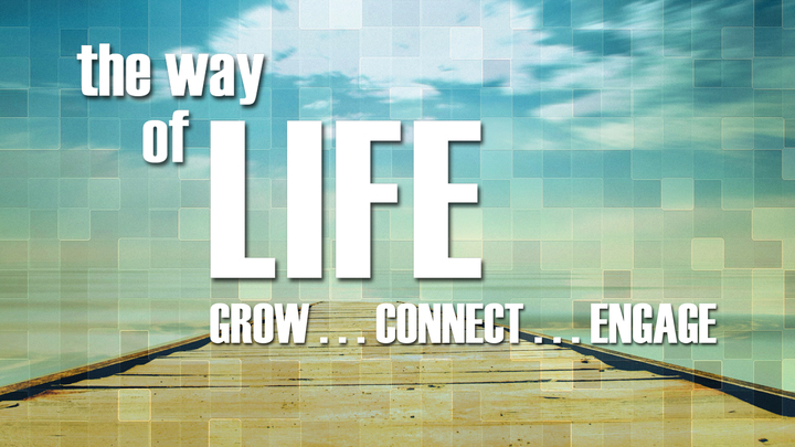 Way of Life Class logo image