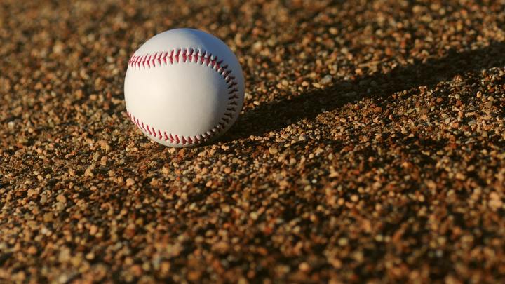 Young Adults Going to the Ballgame logo image
