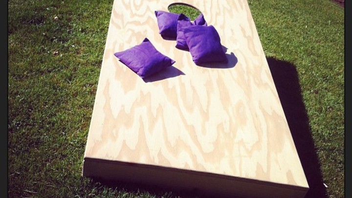 Empty Nest Cornhole Tournament logo image