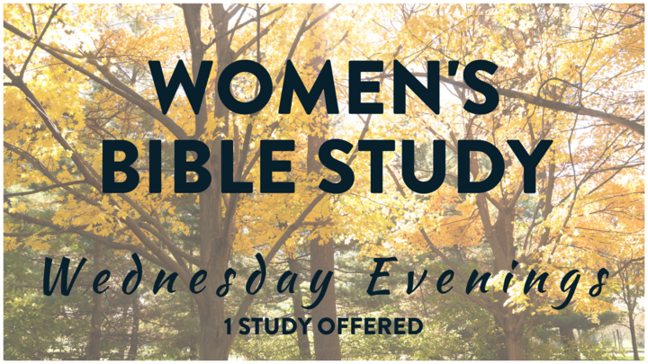 Women's Group - EVENING EDITION (Wednesday Evening Bible Study) logo image