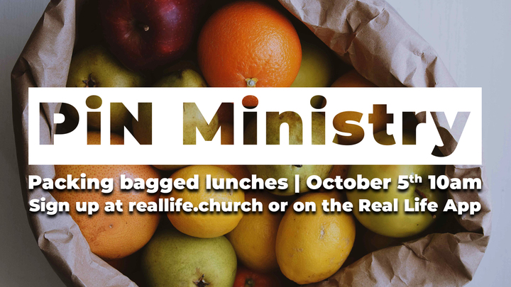 PIN Lunches logo image