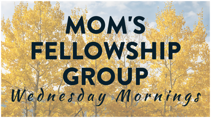 Women's Group - MOM TO MOM (Wednesday Morning Mom's Group) logo image