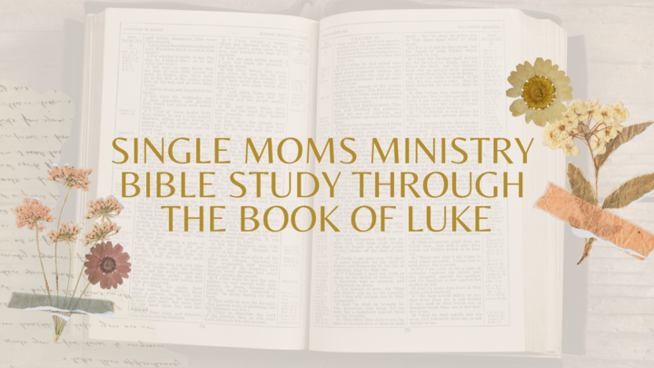 Single Moms Ministry - The Book of Luke (Fall 2025 Study) logo
