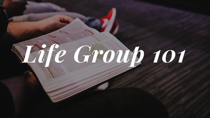 Life Group 101 (September 2019) logo image