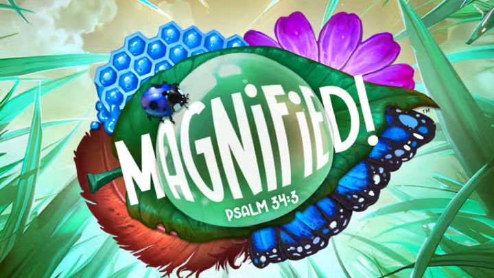 VBS 2025 - Magnified logo