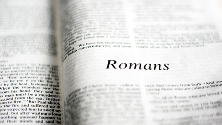 Rooted Bible Study Fall 2019 logo image