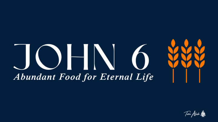 John 6 Turn Aside Bible Study logo