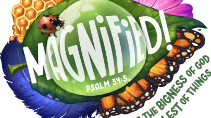 Magnified VBS 2025 logo