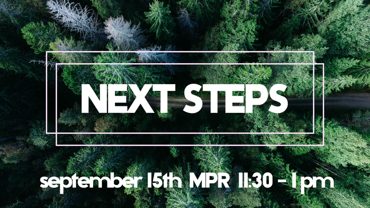 Next Steps logo image