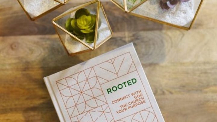 Fall Rooted Small Group Signups logo image