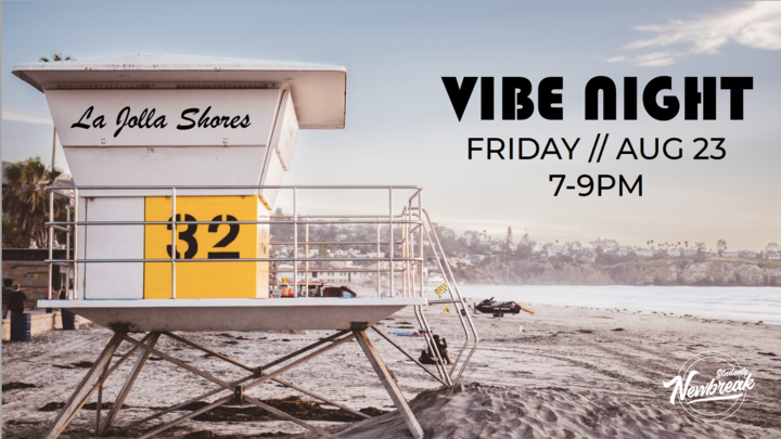 Vibe Night logo image