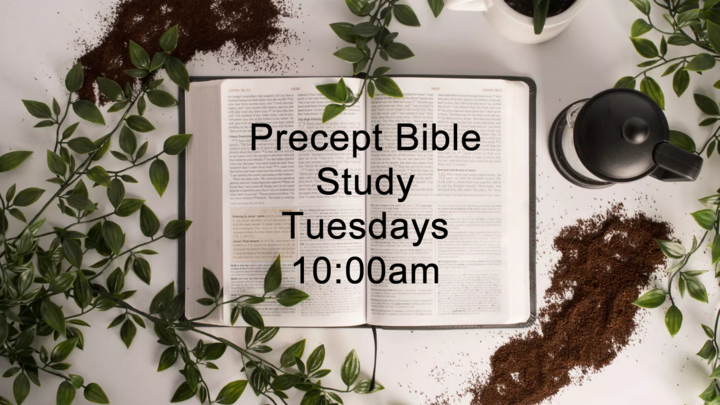 Women's Precept Bible Study logo image
