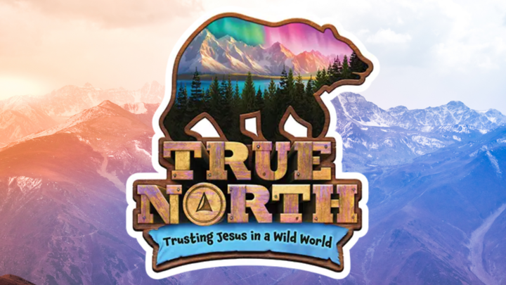 VBS 2025: True North logo