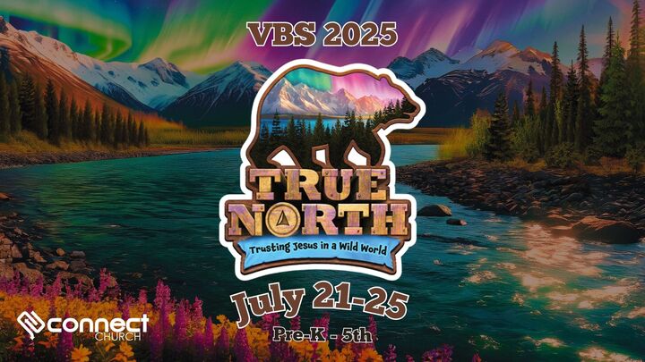 True North - VBS logo