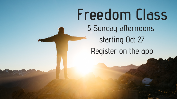 Freedom Class logo image