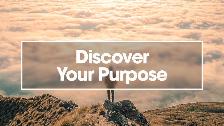 Discover Your Purpose logo image