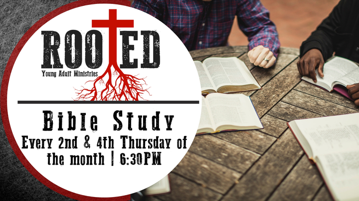 Rooted: Bible Study - Ages 18-30 logo image