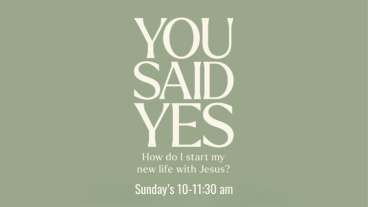 You Said Yes Group logo